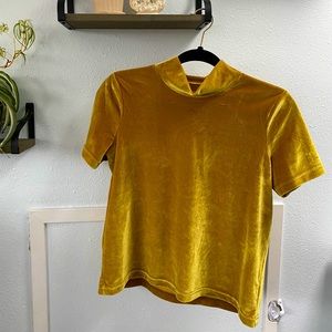 Golden Velvet Madewell Top